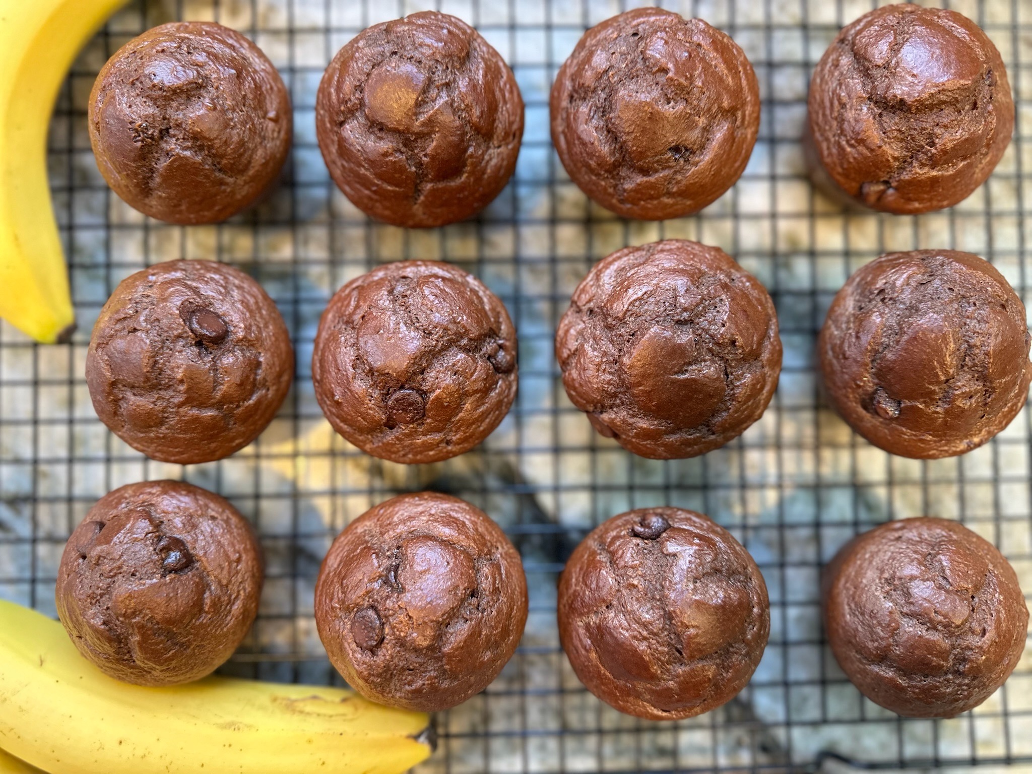 High Protein Chocolate Blender Muffins-image